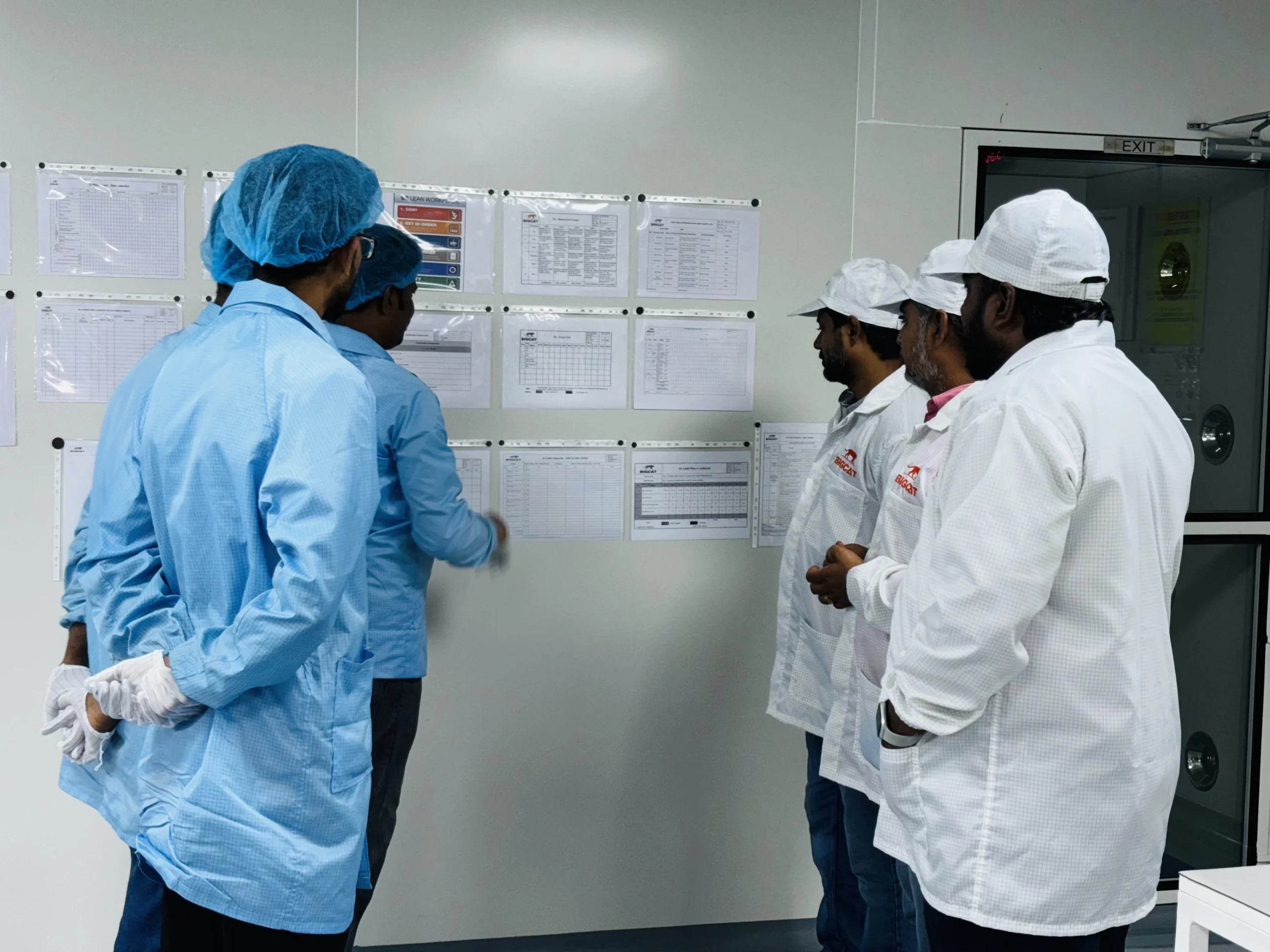 bigcatin Team Meeting scaled